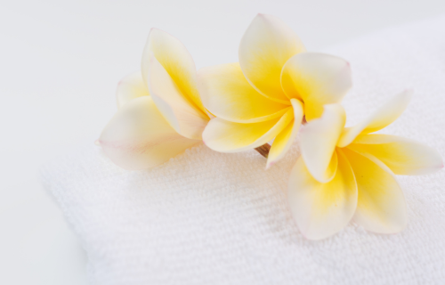 Yellow plumeria flowers on a white towel, portraying holistic dentistry